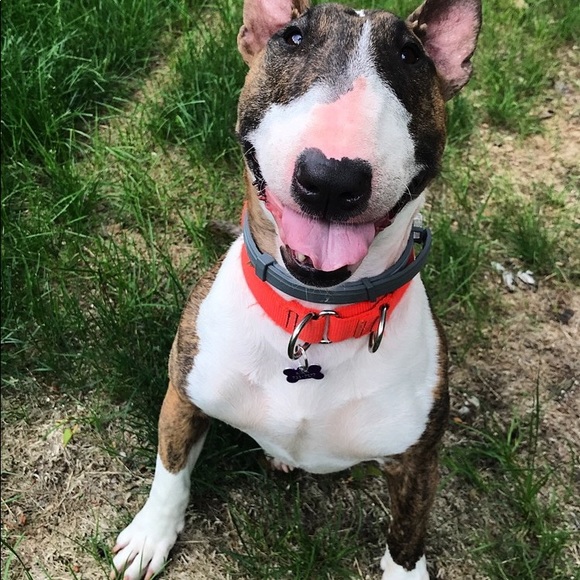 Meet your Posher, Meghan - Picture 2 of 6